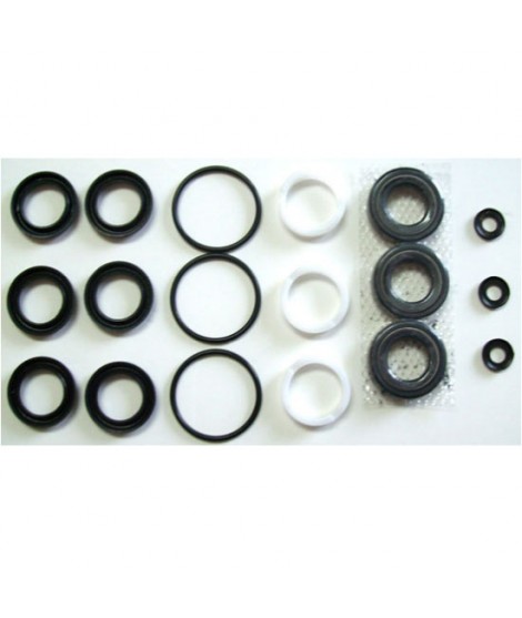 Cat 270 Pump Seal Kit 30914