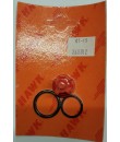 Valve Kit 2600.12