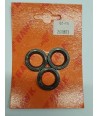 Hawk Oil Seal Kit  2608.03