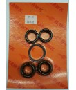 Hawk PS315G Seals Kit 2614.08