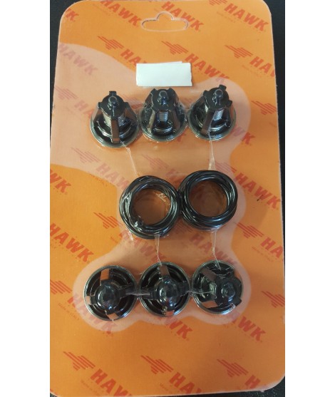 Hawk Valve Kit 1.905-686.0